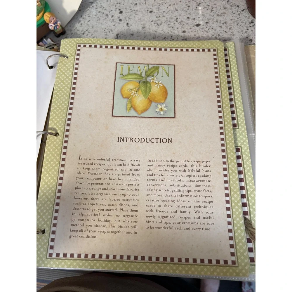 VTG Recipe Binder Keeper Organizer Cookbook Storage Kitchen Recipes Stickers